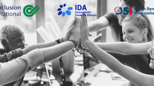 Meeting: 2nd IDA Global Survey on OPDs Participation. 